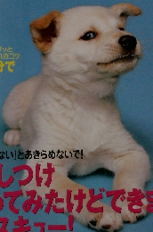 いぬのきもち　2006年5月号