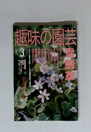 趣味の園芸　2002年3月号　