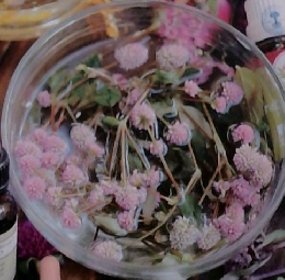 セラピスト 2012年2月号　