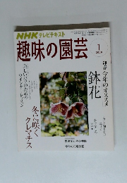 NHK趣味の園芸　2008年1月号　