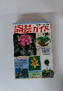 園芸ガイド　1983年秋号