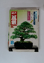 近代　盆栽　1981年08月号