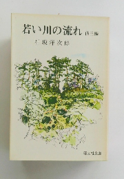 若い川の流れ3 