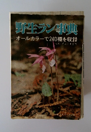野生ラン事典 オールカラーで240種を収録