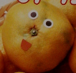 プチサイエンス　1984年1月号　みかん