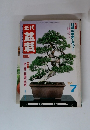盆栽　盆栽の常識とタブー　1984年7月