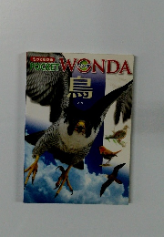 POCKET　WONDA　鳥