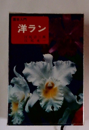 洋ラン　