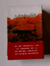 北関東戊辰戦争