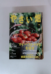 季刊 やさい畑 2004年春