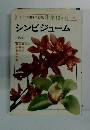 NHK趣味の園芸:作業12か月・・・シンビジューム