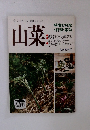 食べておいしく、健康にもよい　山菜