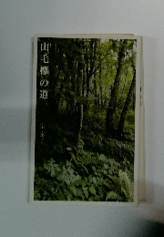 山毛欅の道
