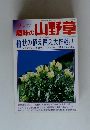 趣味の山野草　2000年9月号