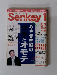 Senkey 1　6-7　2002