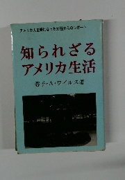 アメリカ人主婦になった女性からのレポート 知られざる アメリカ生活