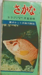 さかな　ポケット採集図鑑6