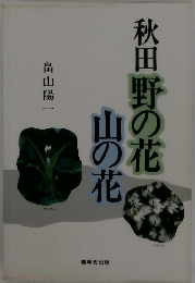 秋田野の花　山の花