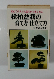初めての人でも苗木から楽しめる松柏盆栽の育て方仕立て方