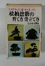 初めての人でも苗木から楽しめる松柏盆栽の育て方仕立て方