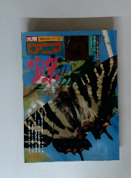 季刊アニマ 1976年春