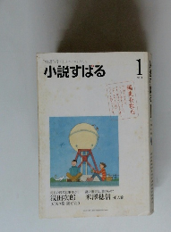 小説すばる　2011年1月号
