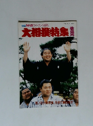 別冊NHKウィークリーSTERA大相撲特集
