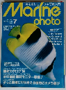 Marine photo 1994年7月号