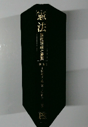 憲法　基礎理論と演習