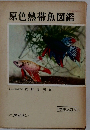 原色熱帯魚図鑑