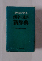 早引きできる漢字・国語新辞典　よく使われる外来語