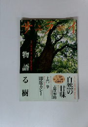 サライ　7月20日