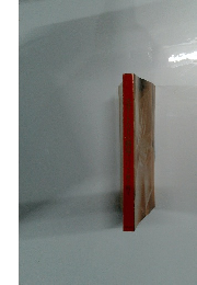 スカートの下の劇場