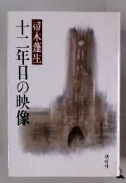 十二年目の映像