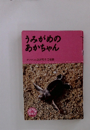 うみがめの あかちゃん