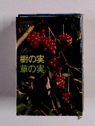 樹の実草の実　カラー