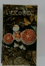いわてのきのこ　身じかな