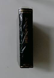 ドイツ文学論集　