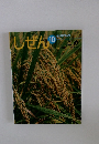 しぜんキンダーブック　こめ