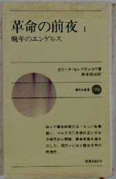 革命の前夜　晩年のエンゲルス　1