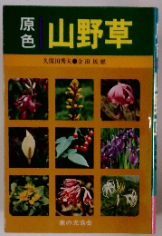原色山野草
