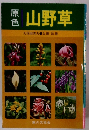 原色山野草