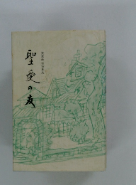 聖愛の友　聖教会百年史