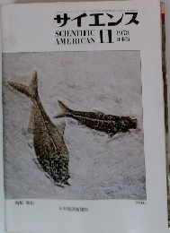 サイエンス　1978年11月号　