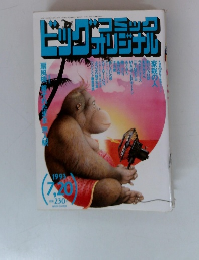 ビッグコミックオリジナル　1993年7/20号