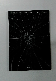 YOKOHAMATRIENNALE2008　TIME CREVASSE