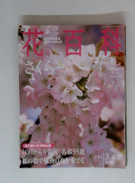 週刊花百料　2004年3/4号