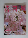 週刊花百料　2004年3/4号