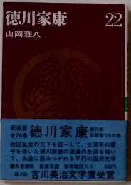 徳川家康 22 山岡荘八