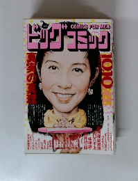 ビッグコミック 1994